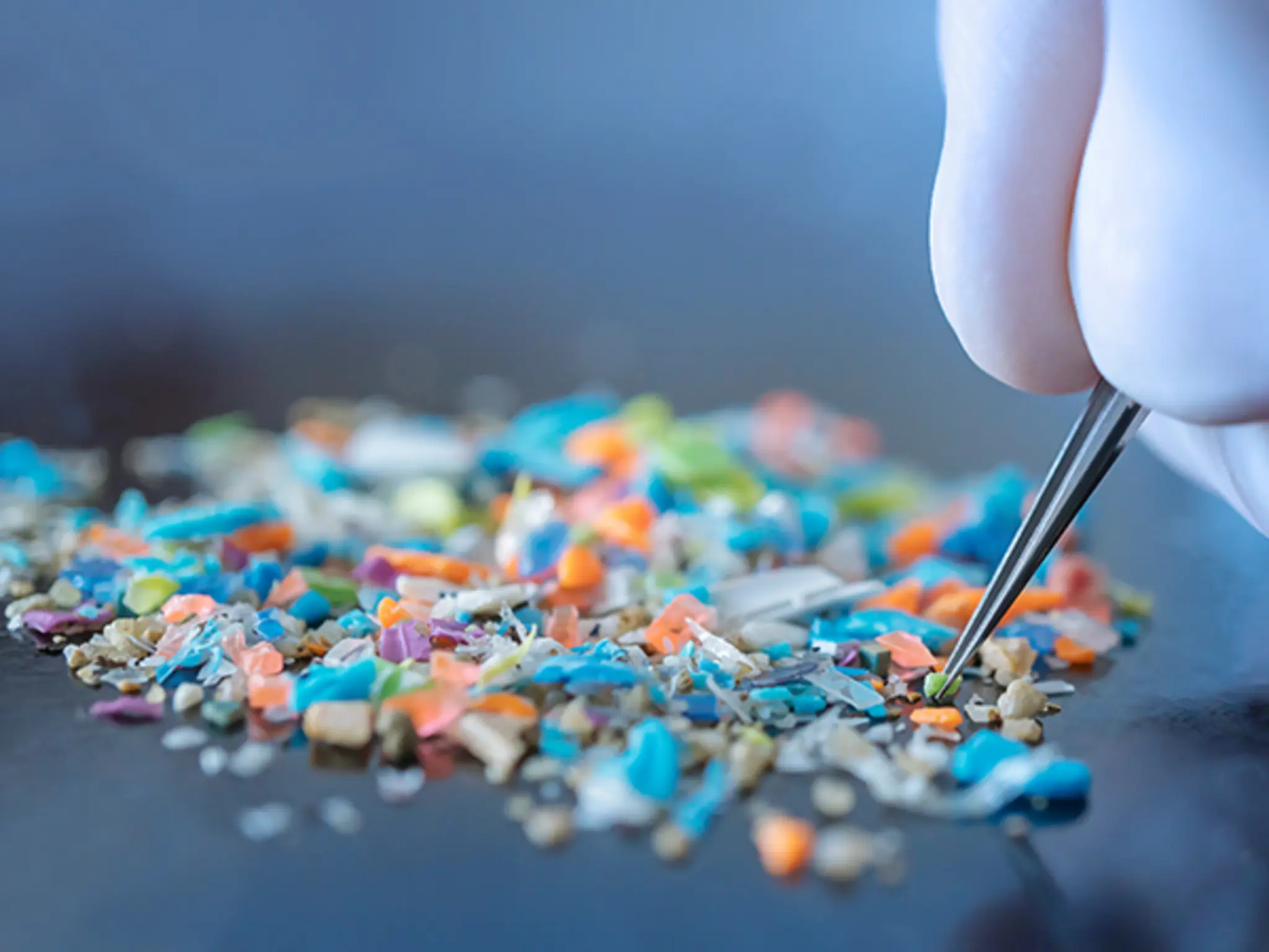 Finger in einem Handschuh halten eine Pinzette in einen Haufen aus Mikroplastik-Teilchen