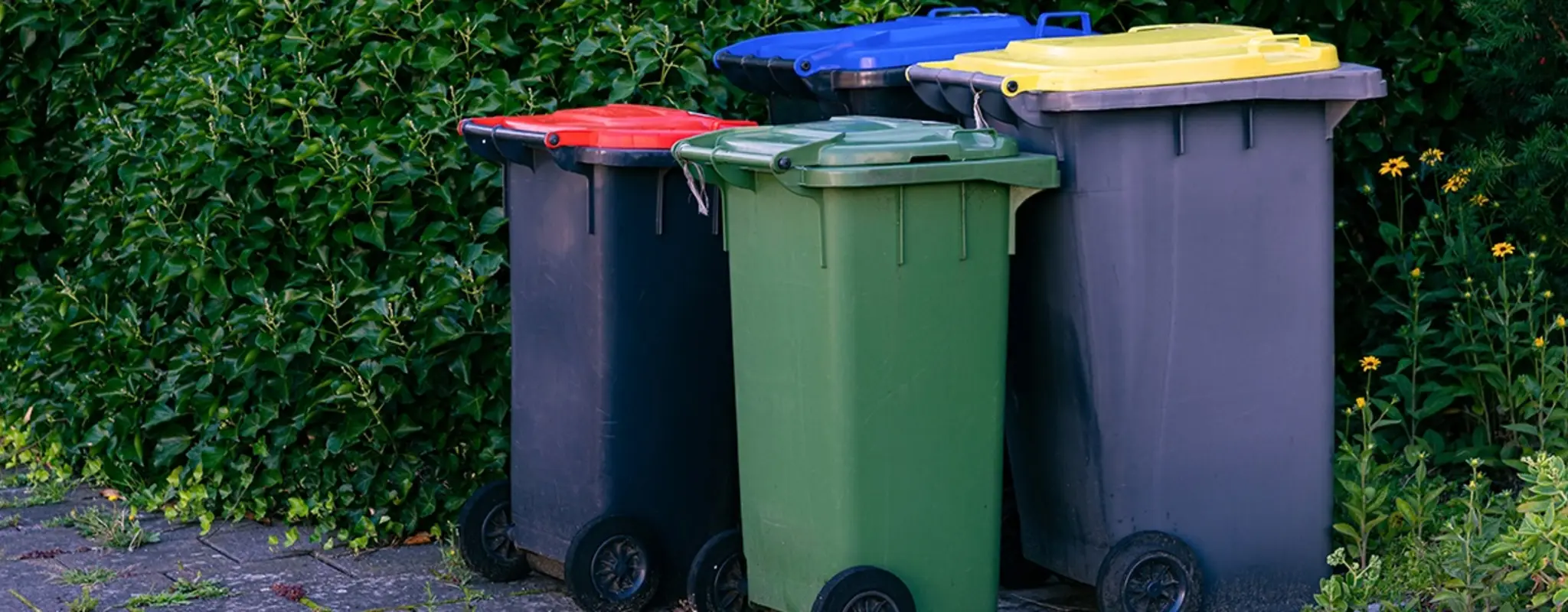 Eine Altpapiertonne, eine gelbe Tonne, eine Restmülltonne und eine Biotonne am Rand einer Einfahrt