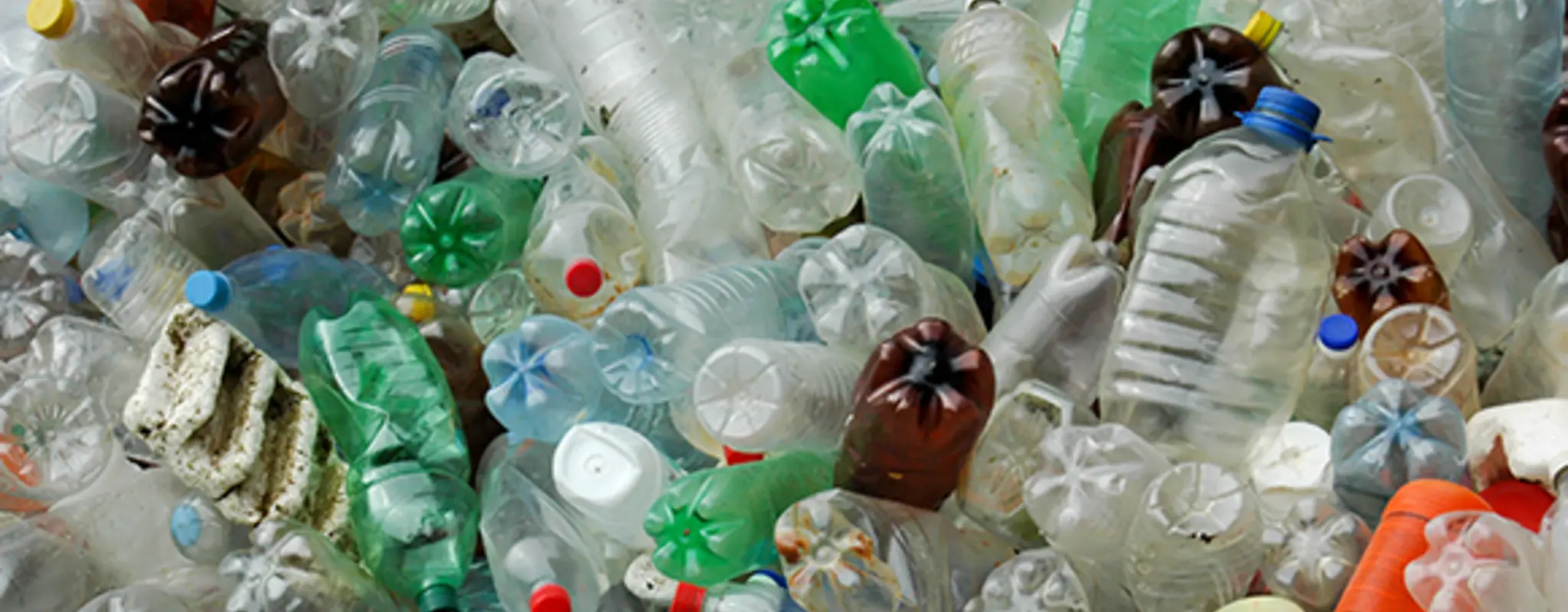 Eine große Ansammlung leerer Plastikflaschen in verschiedenen Farben, dazwischen vereinzelt andere Abfälle