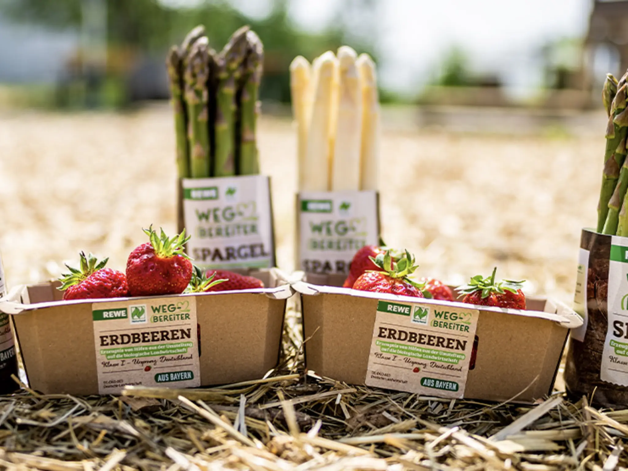 Die ersten REWE Wegbereiter Produkte gibt es in Bayern in den Märkten: Spargel und Erdbeeren vom Spargelhof Kügel.