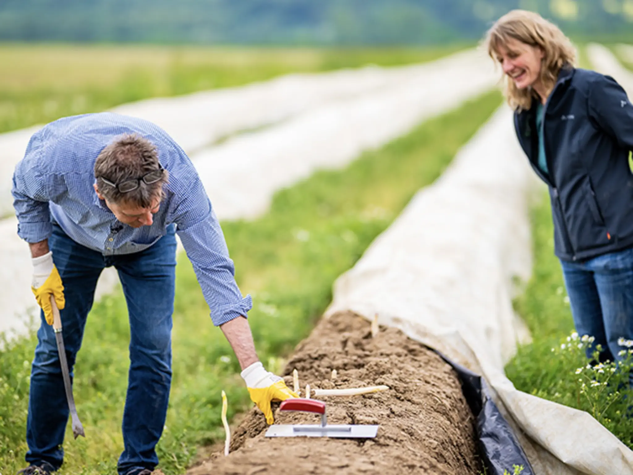 Wolfgang Kügel und seiner Tochter Julia Fröhlich-Kügel waschen und sortieren Spargel.