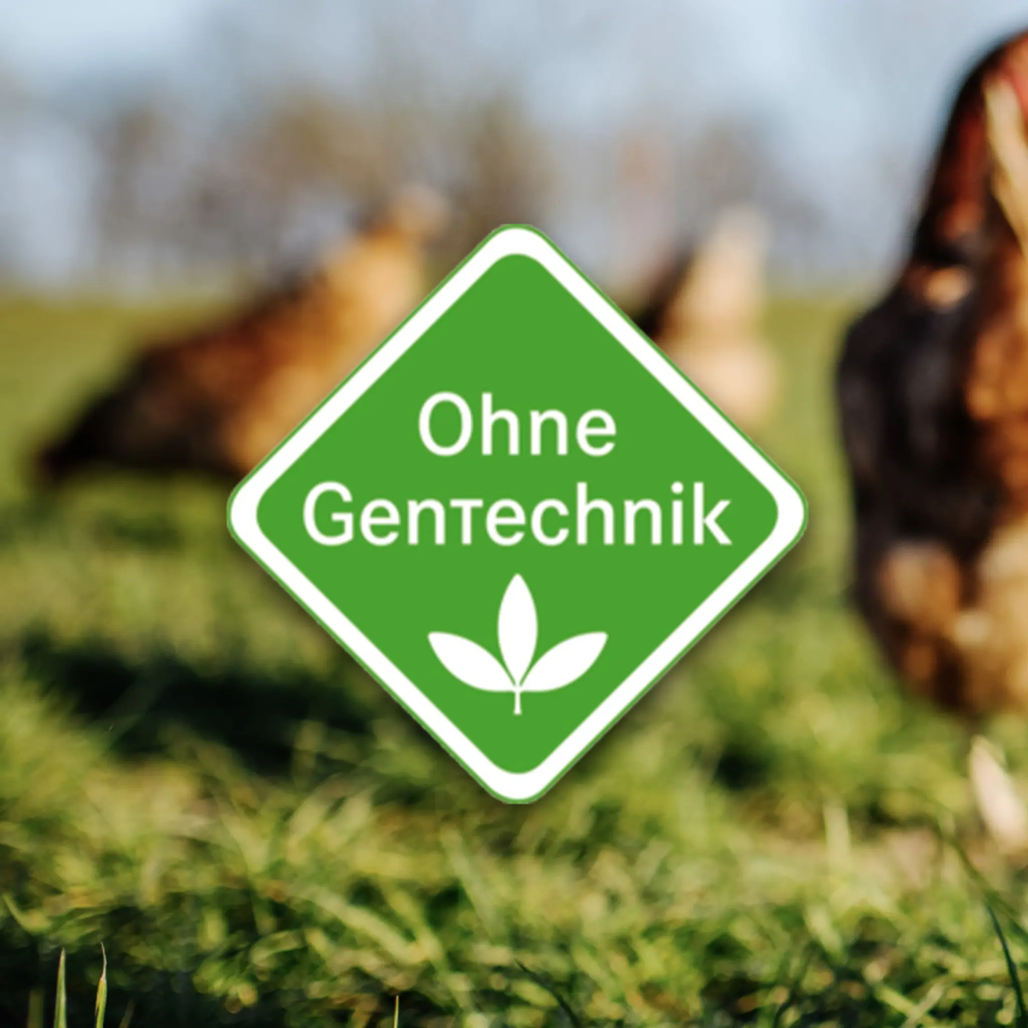 Das rautenförmige, grüne „Ohne GenTechnik“-Siegel. Im Hintergrund erkennt man verschwommen Hühner auf einer Wiese.