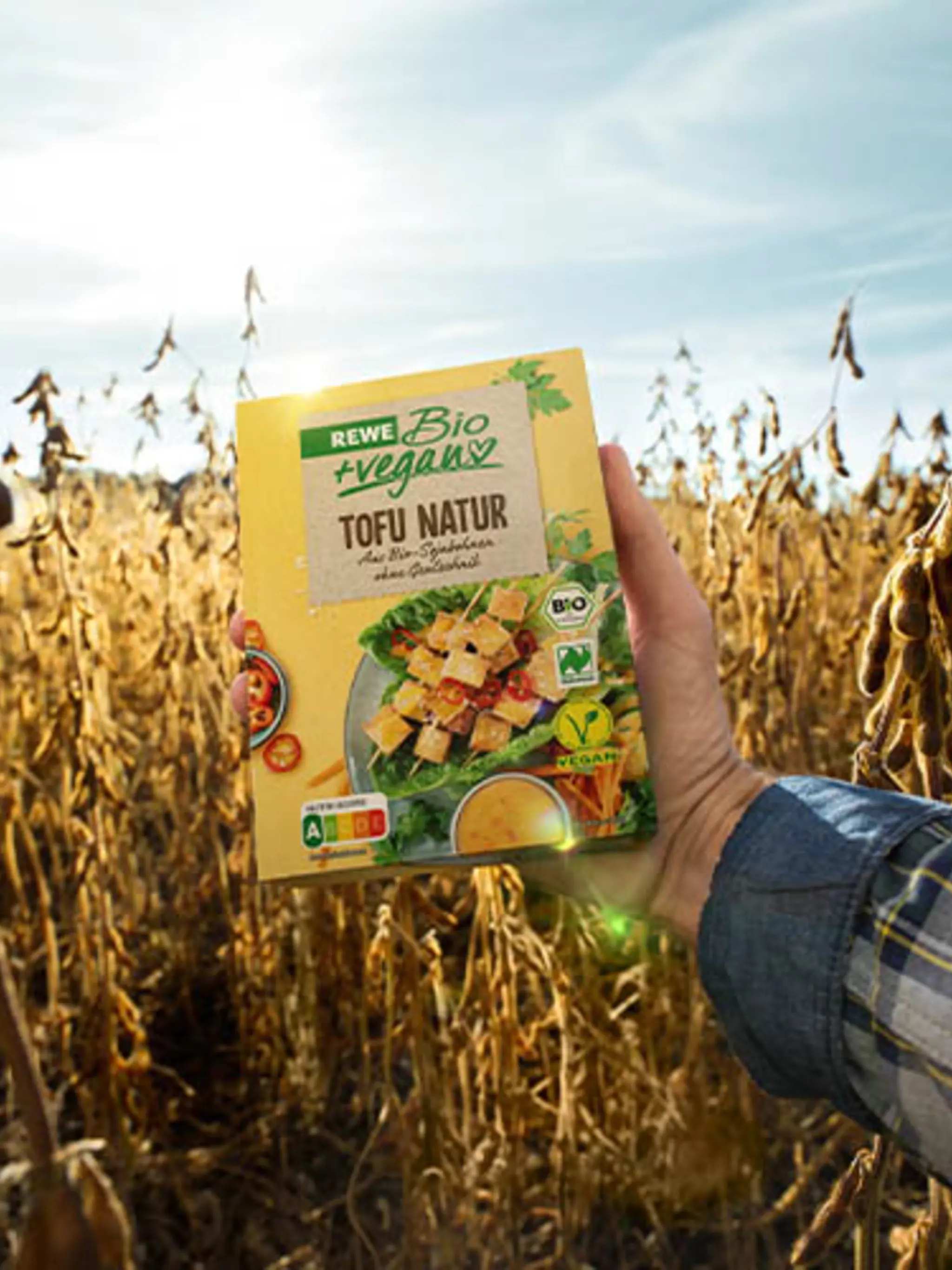 Eine Hand hät eine Packung REWE Bio + vegan Tofu vor ein sonnenbeschienenes Soja-Feld.