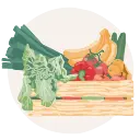 Eine illustrierte Kiste voll nachhaltiger angebautem Obst und Gemüse. 