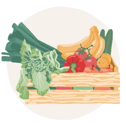 Eine illustrierte Kiste voll nachhaltiger angebautem Obst und Gemüse. 