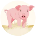 Ein illustriertes Ferkel läuft durchs Gras.
