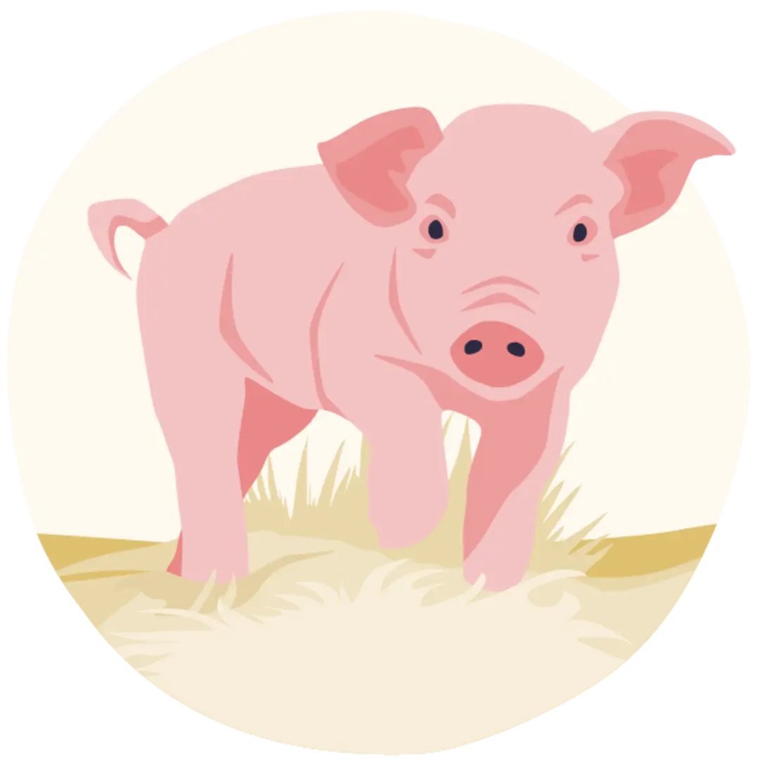 Ein kleines, illustriertes Schwein.