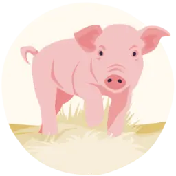 Ein illustriertes Ferkel läuft durchs Gras.