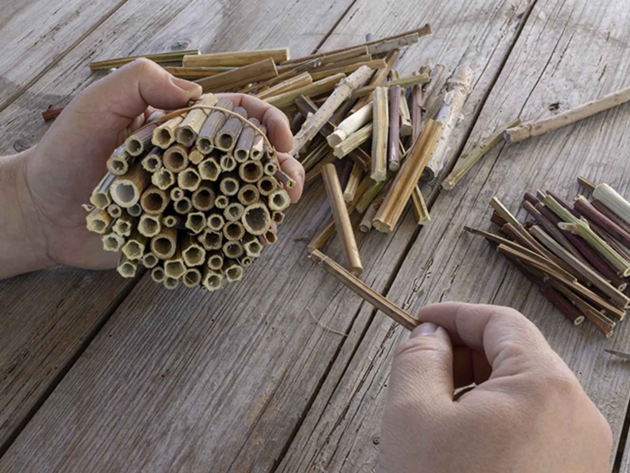Zwei Hände bauen ein Insektenhotel aus Bambusstäben.
