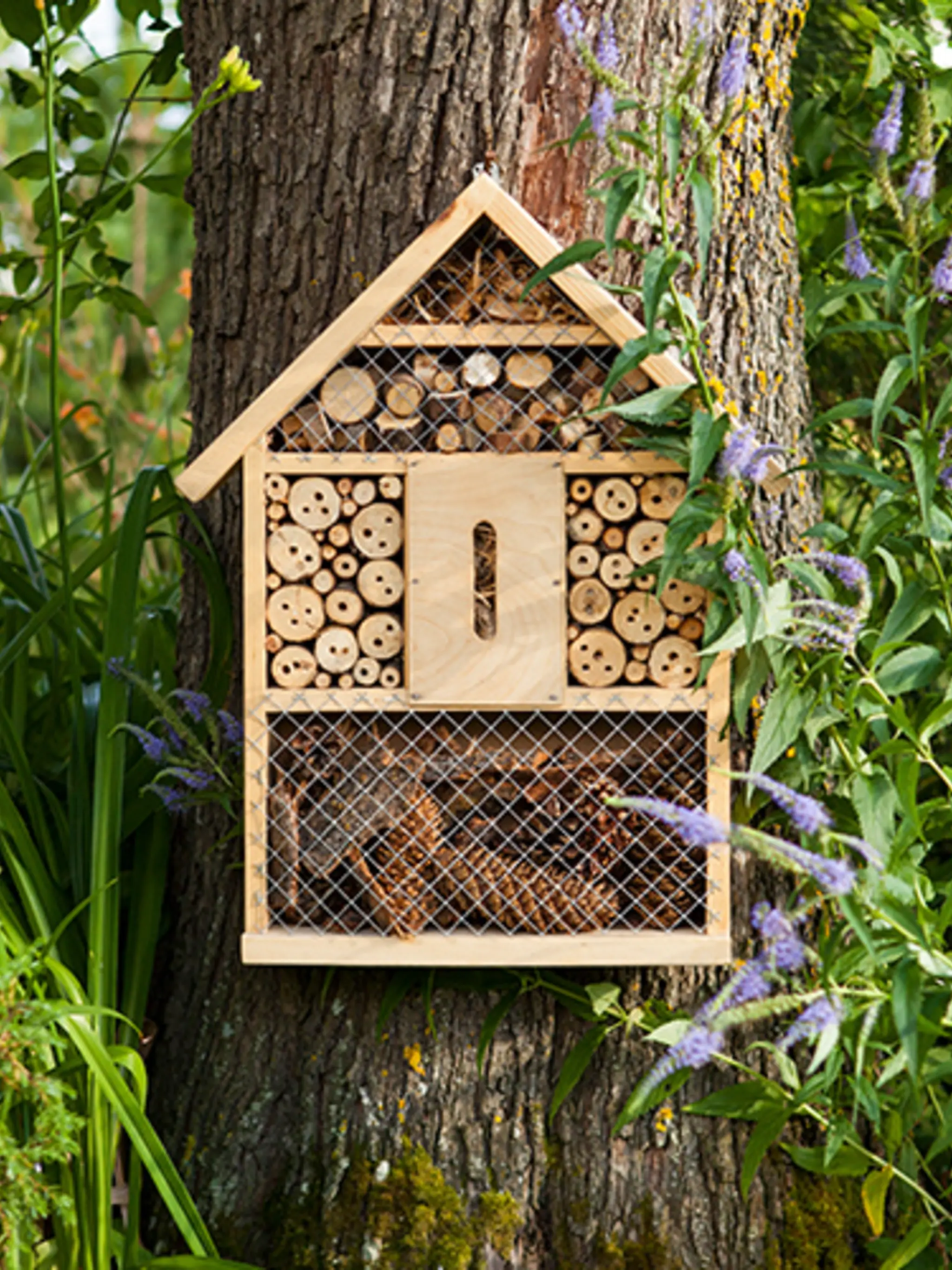 Ein Insektenhotel hängt an einem Baum.