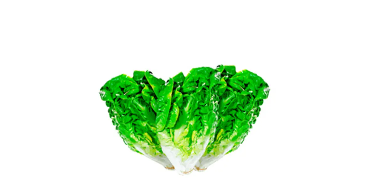 REWE Regional Salat