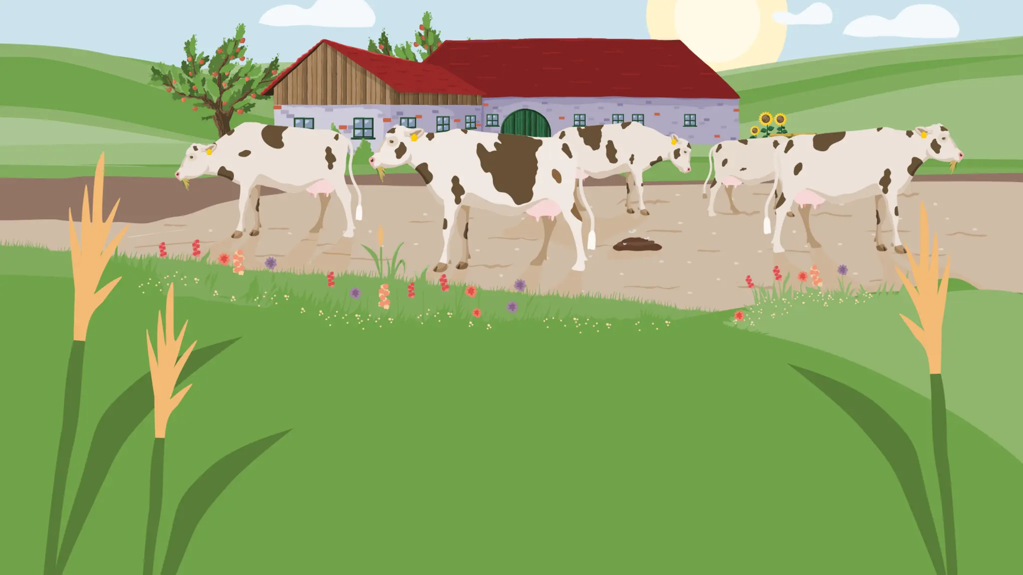 Eine Illustration zeigt das Prinzip der Kreislaufwirtschaft: Pflanzen werden als Tierfutter angebaut. Mist wird als Dünger verwendet. Wie viele Tiere gehalten werden dürfen ist abhängig von der Fläche des Betriebes. 