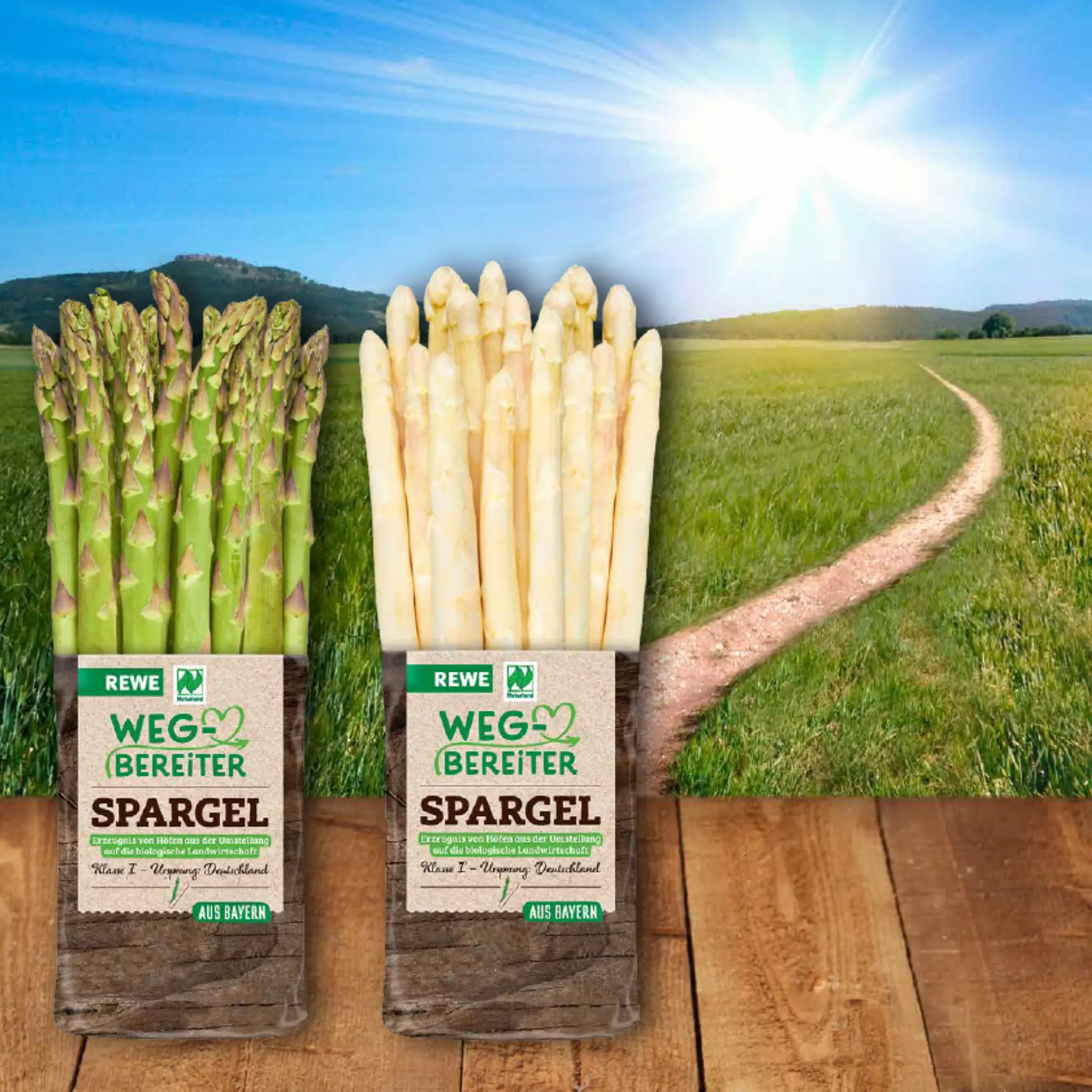 REWE Wegbereiter grüner Spargel und weißer Spargel in einem Körbchen.