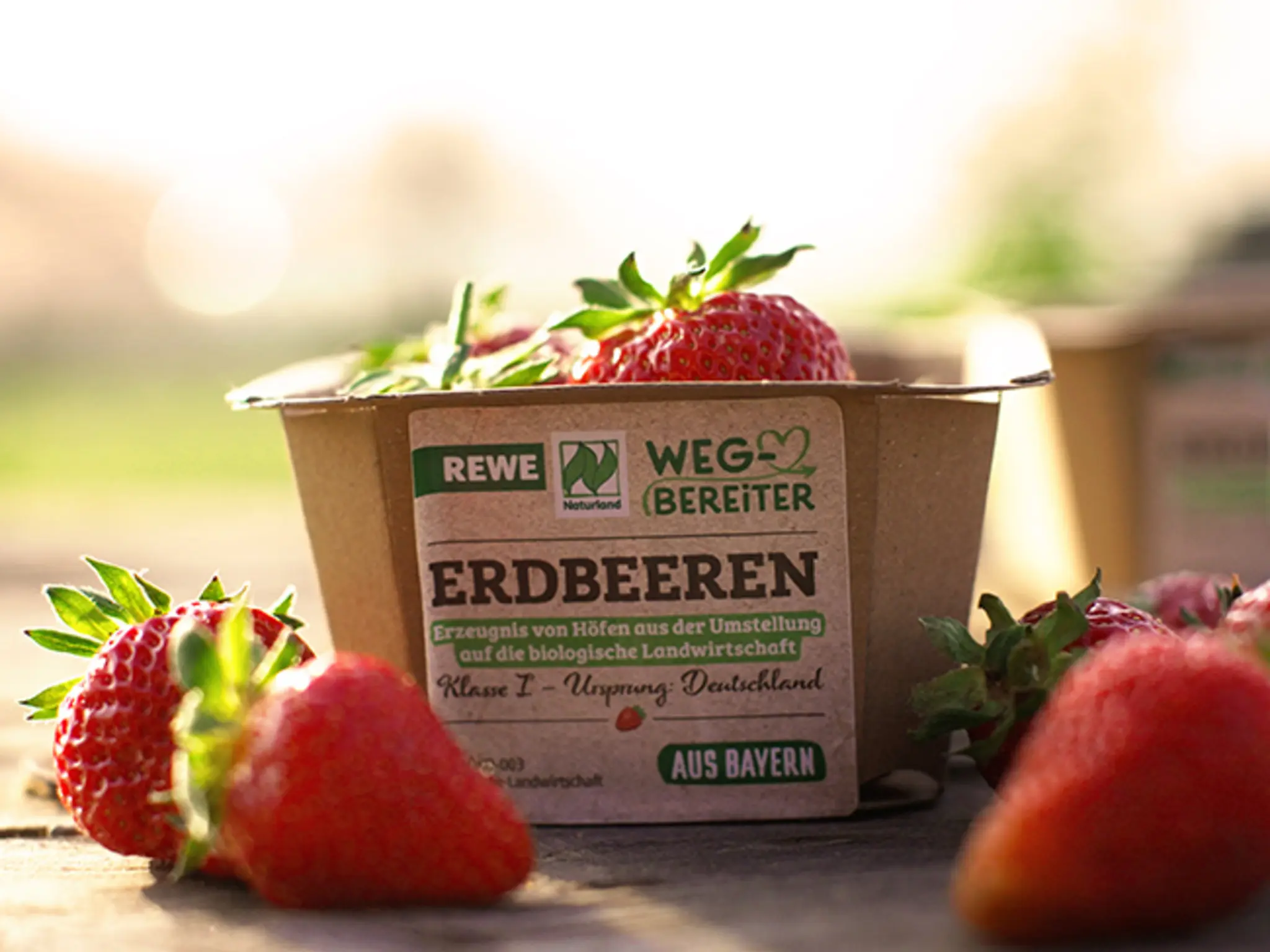 Eine Schale REWE Wegbereiter Erdbeeren.