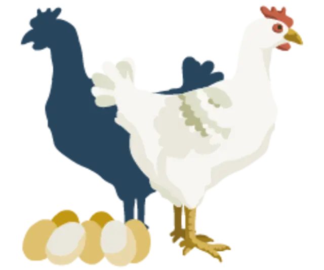 Die Illustration zeigt Hähnchen und eine Henne einer Mastrasse. Neben ihnen liegen ein Haufen Eier und ein zwei Hähnchenschenkel. Die Eier sind durchgestrichen.