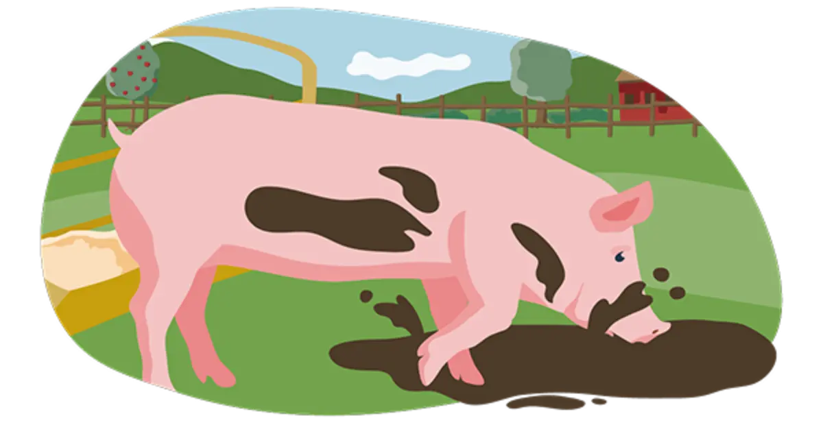 Ein illustriertes Schwein in Bio-Haltung. Es wühlt auf einer Wiese im Matsch. Die Bedingungen entsprechen den Vorgaben der Haltungsstufe 5.