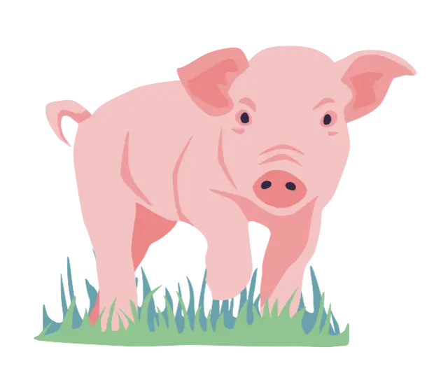 Illustration eines Schweins