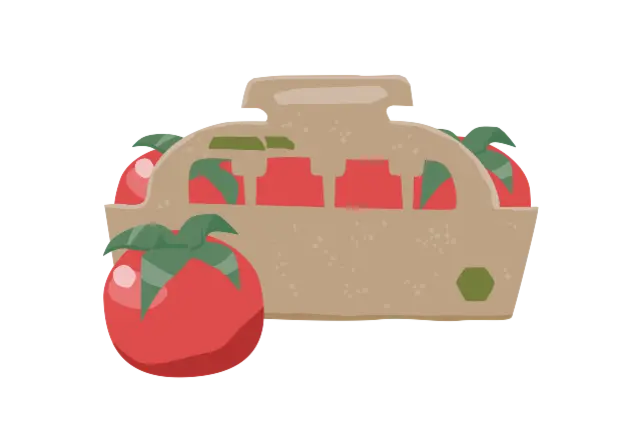 Illustration von Tomaten