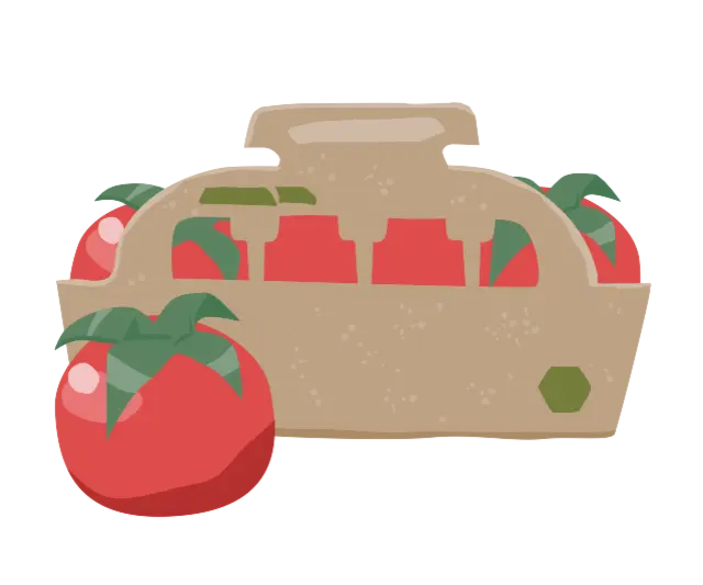 Illustration von Tomaten