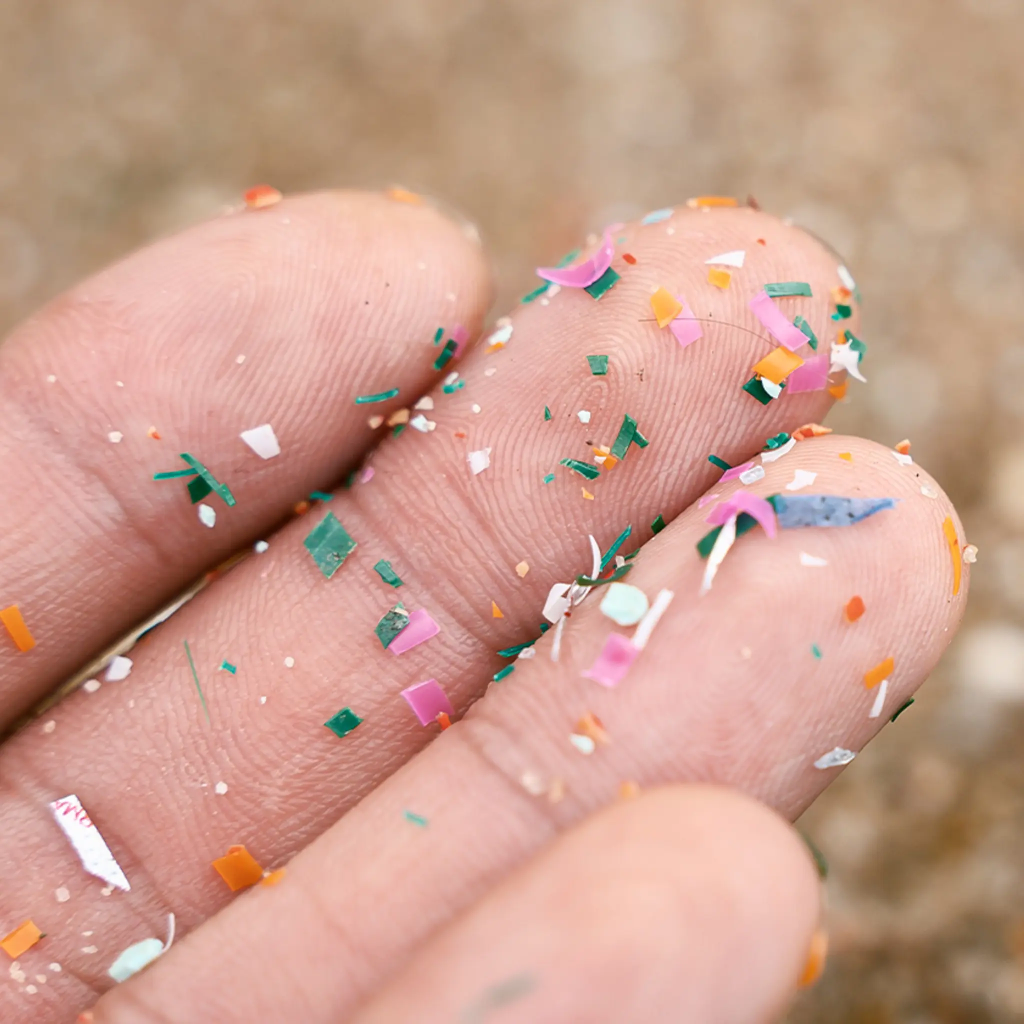 Eine Person fischt mit einem Sieb viele Stücke Mikroplastik aus dem Meer.
