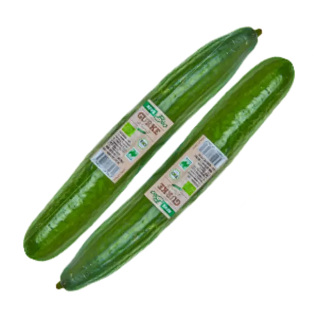 Zwei REWE Bio Gurken mit Klebeetiketten.