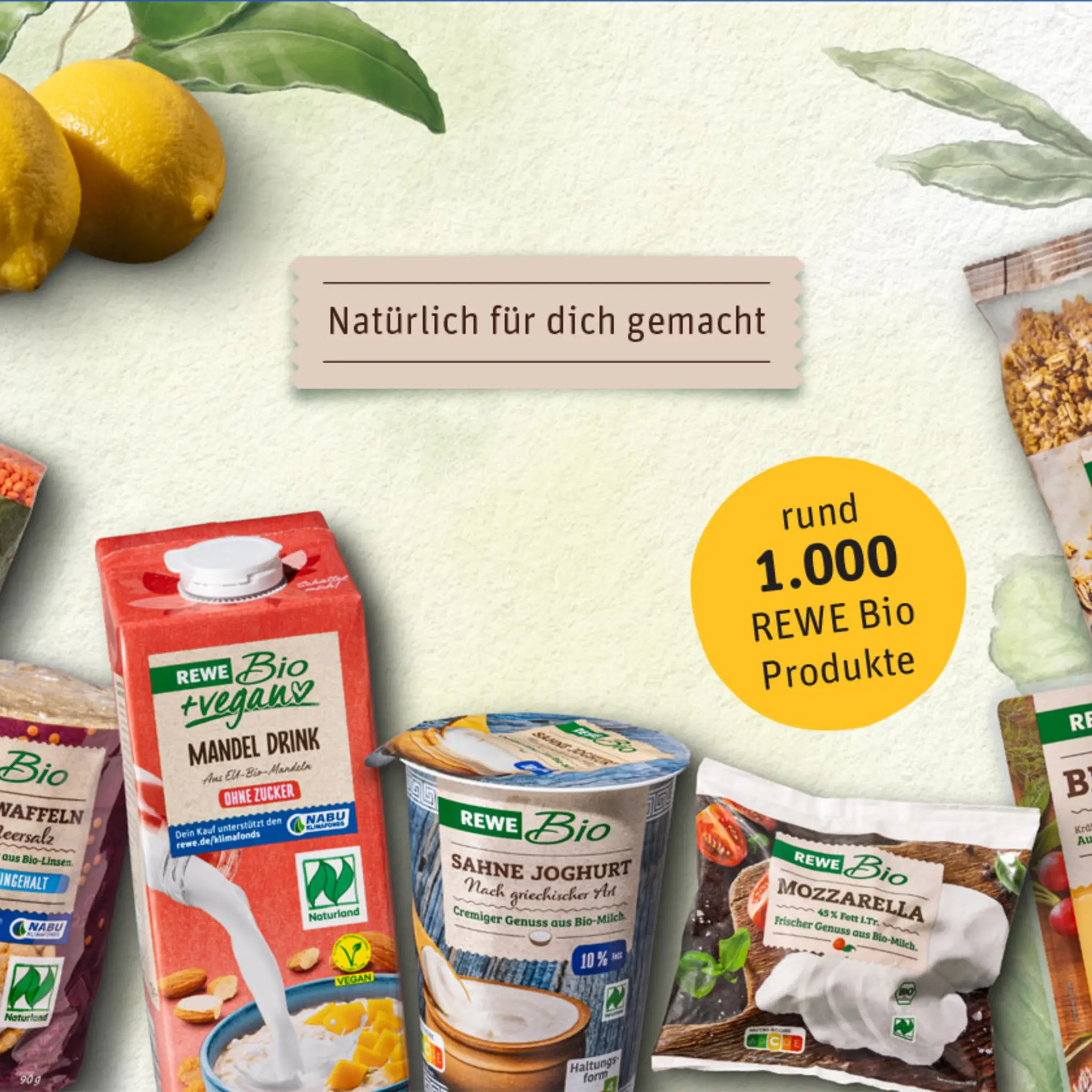 Viele unterschiedliche REWE Bio und REWE Bio + vegan Produkte sowie Illustrationen botanischer Pflanzen – ein Sinnbild für die Vielfalt und Natürlichkeit der Sortimente von REWE Bio und REWE Bio + vegan.