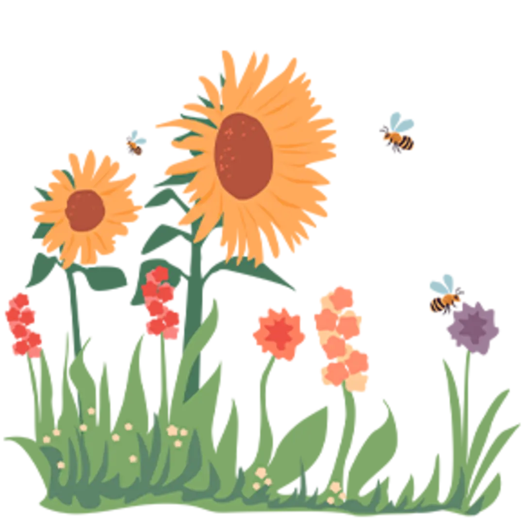 Die Illustration zeigt eine Wiese mit Wildblumen und Kräutern. 