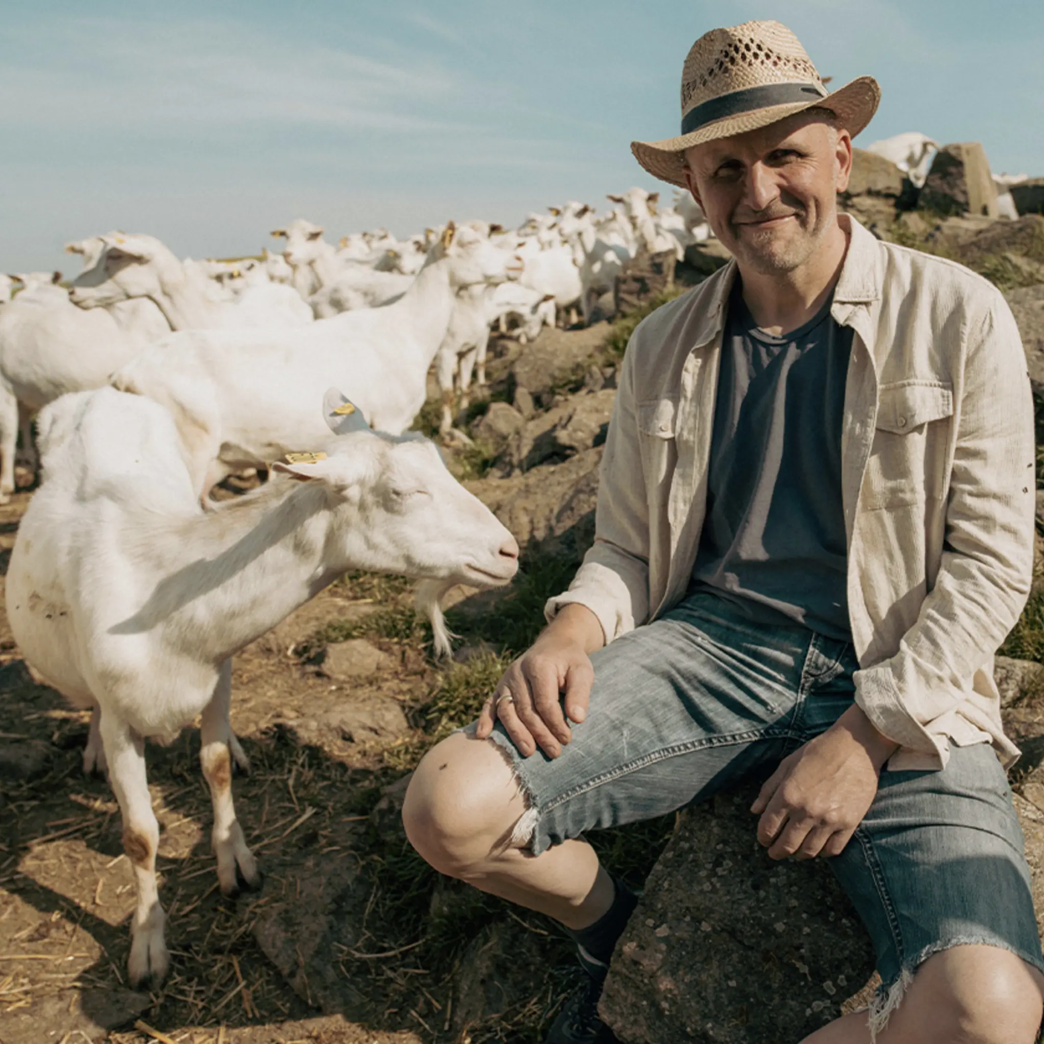 Franz Haslehner sitzt auf einem Felsen und beobachtet seine Ziegenherde. Die Tiere grasen auf einer Bergwiese. 