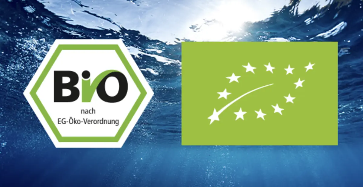 Das EU-Bio-Siegel und das staatliche Bio-Siegel vor einem Meer im Hintergrund.