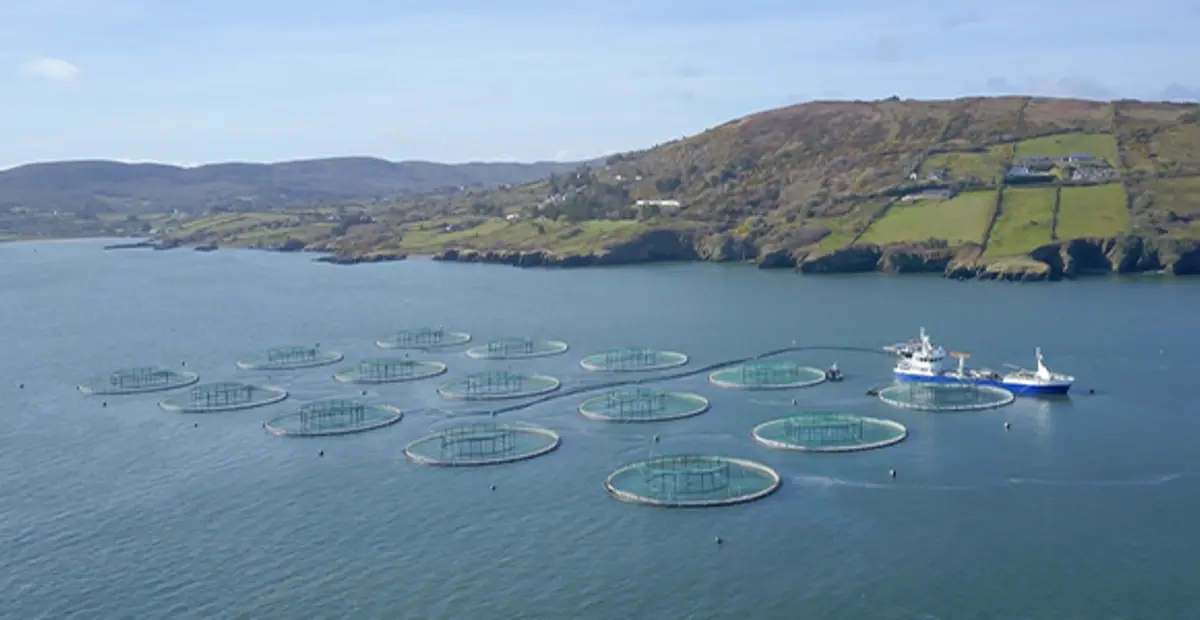 Eine Bio-Lachsfarm in Irland.