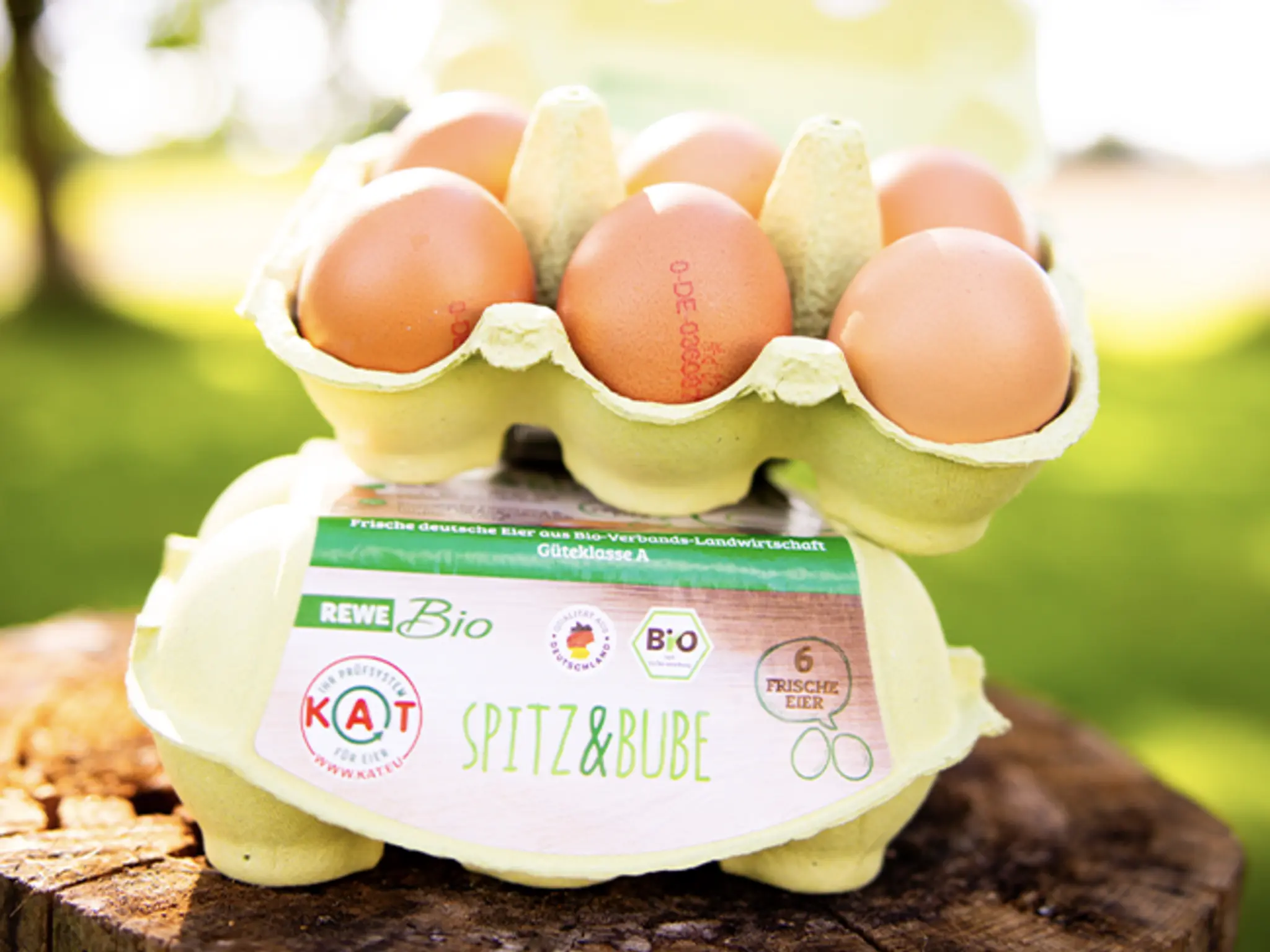Zwei Packungen REWE Bio Spitz & Bube Eier auf einem Baumstamm.