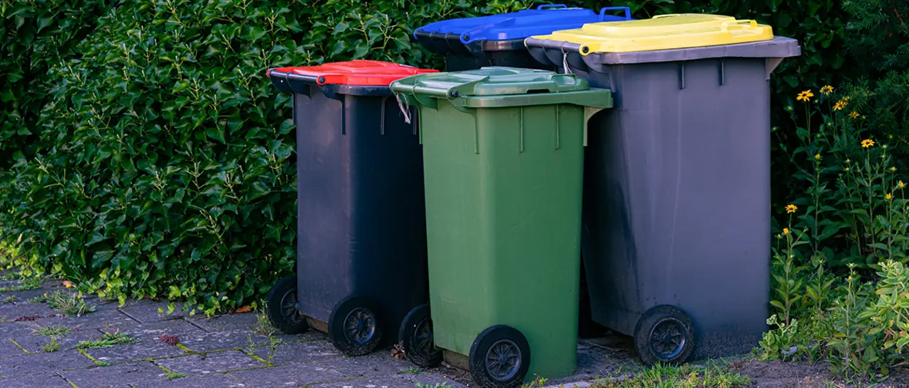 Eine Altpapiertonne, eine gelbe Tonne, eine Restmülltonne und eine Biotonne am Rand einer Einfahrt