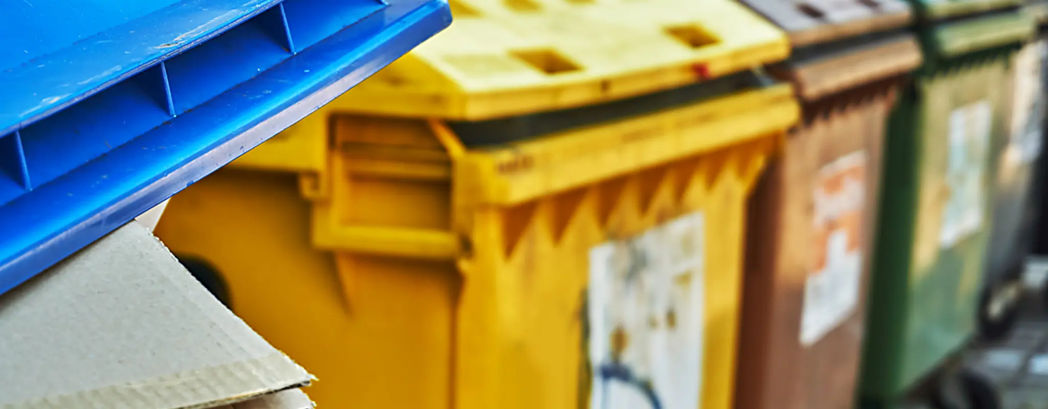 Schwarzer, grüner, brauner, gelber und blauer Abfallcontainer im Innenhof 