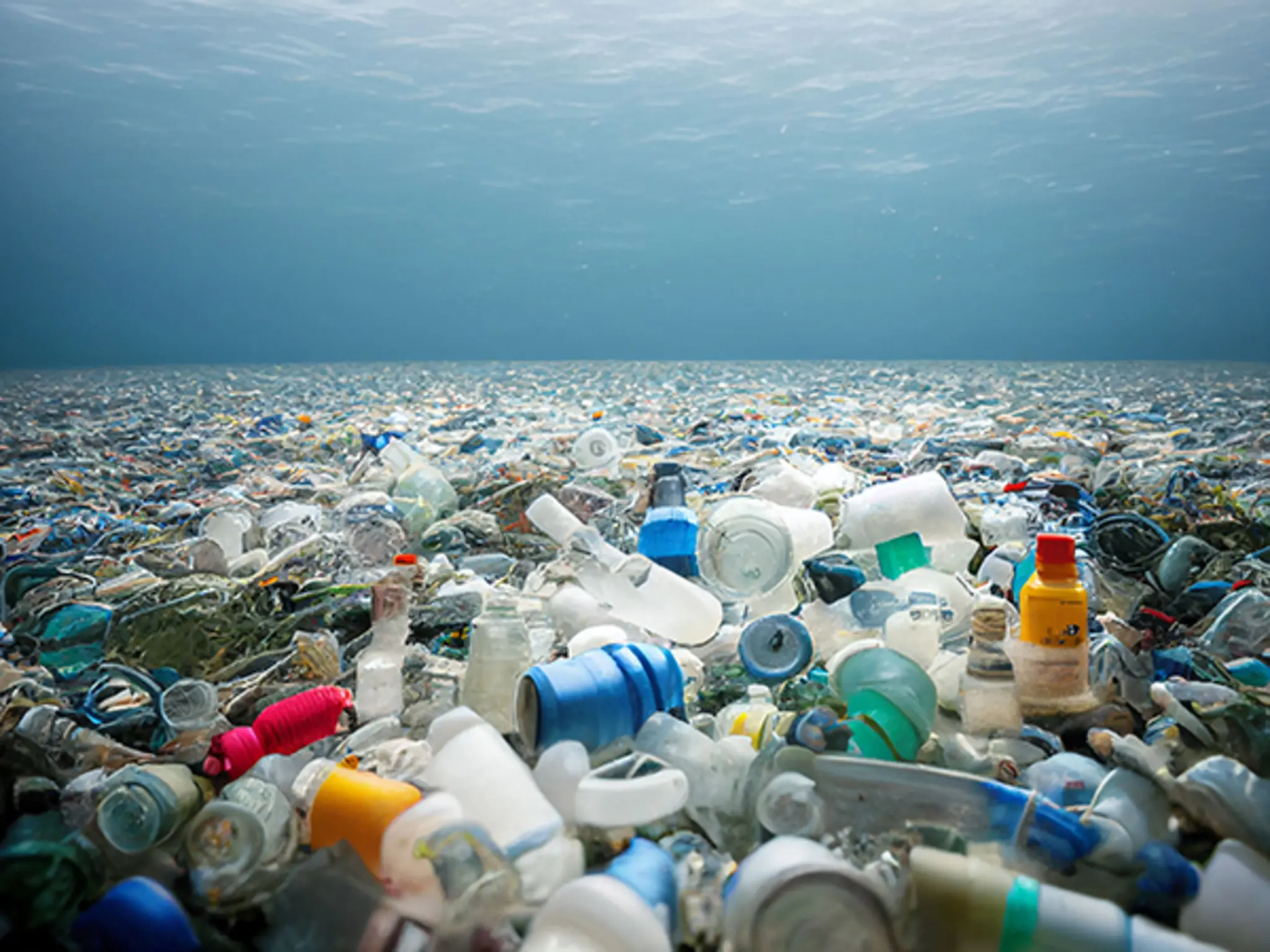 Flaschen und andere Plastikabfälle bedecken den gesamten Meeresboden