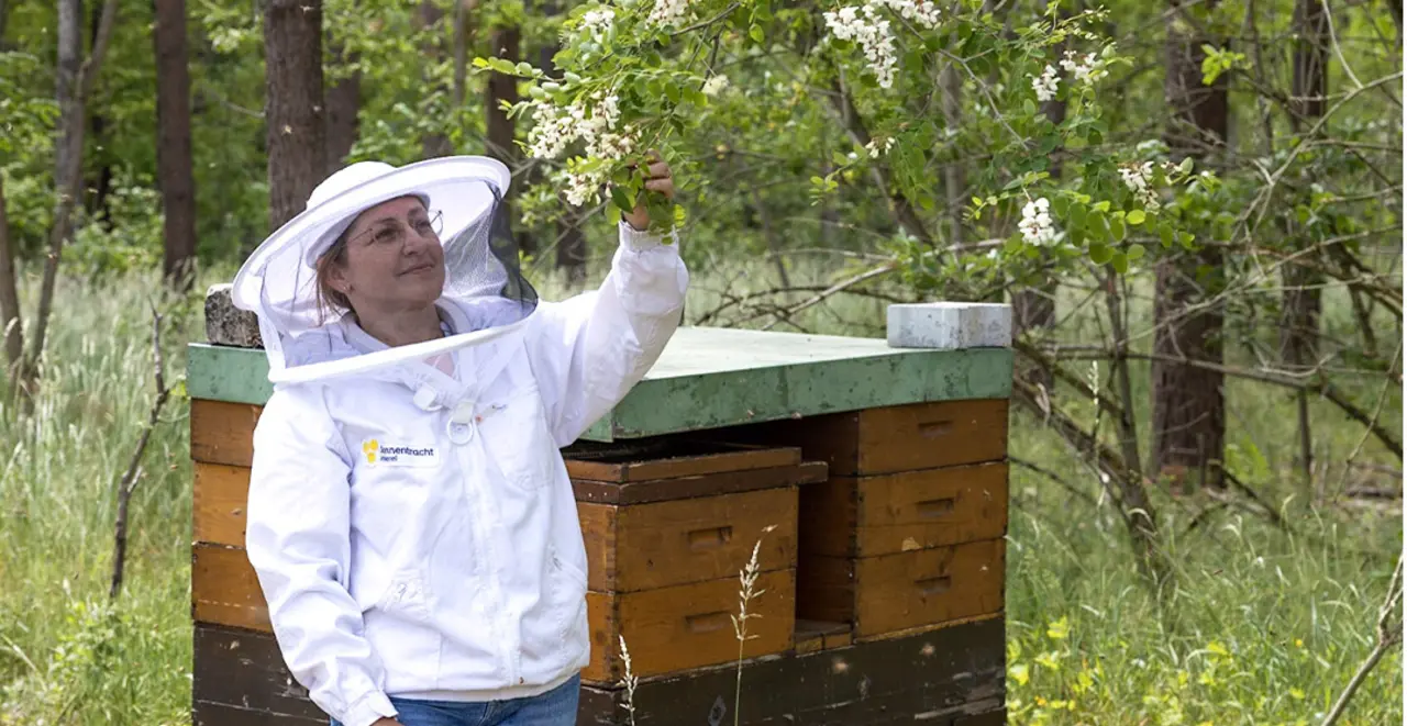 Imkerin Karin Lang vor einem Bienenstock ihrer Wanderimkerei. 