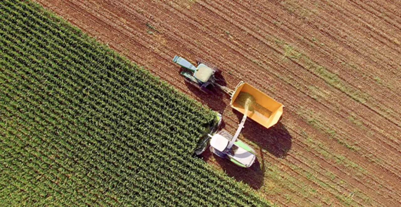 Ein Feld aus der Vogelperspektive. Eine große Maschine erntet es ab. 