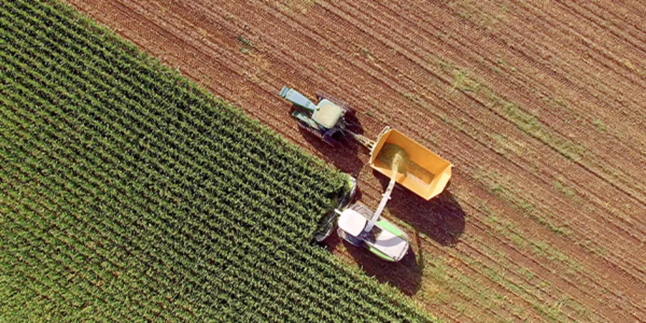 Ein Feld aus der Vogelperspektive. Eine große Maschine erntet es ab.