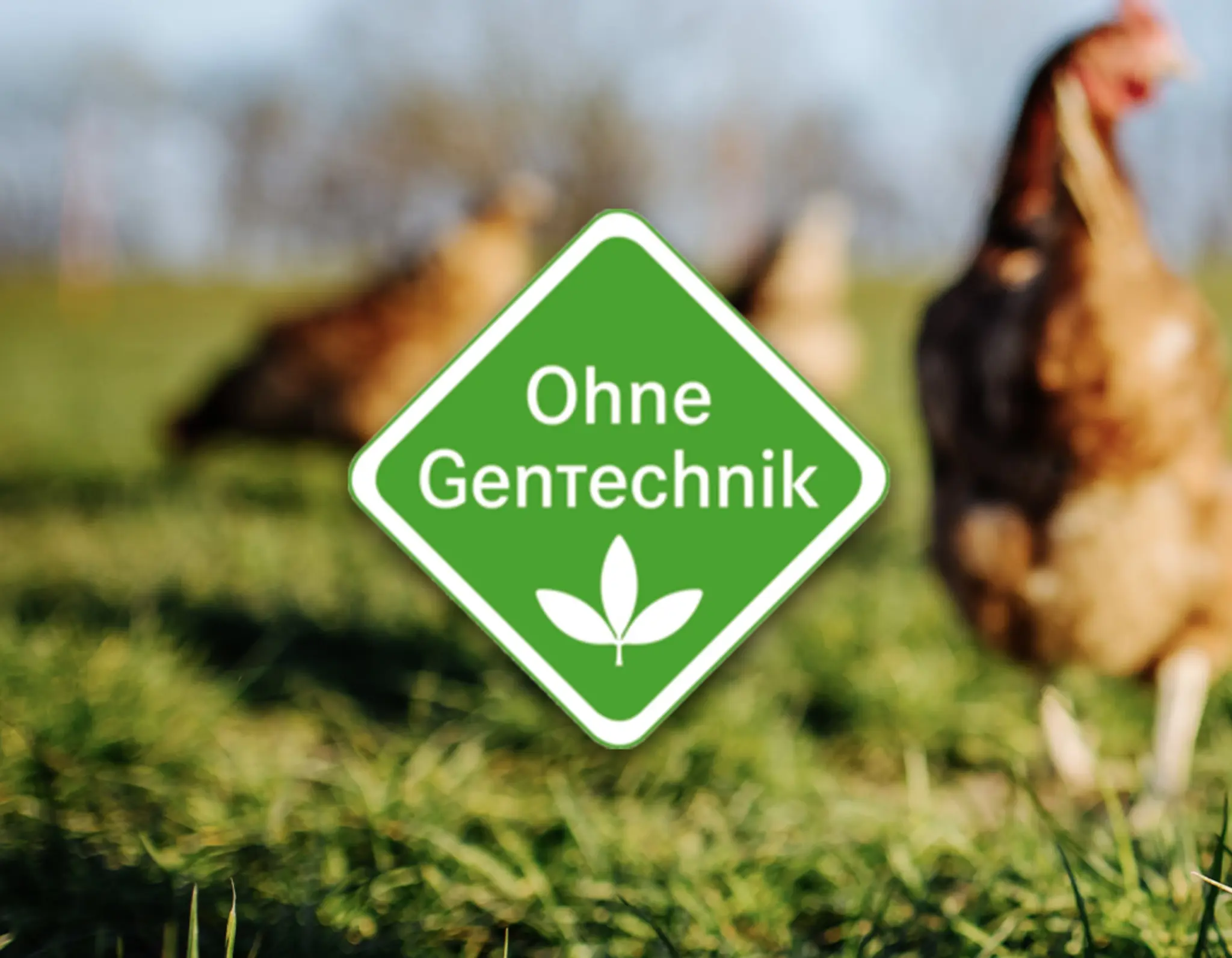Das rautenförmige, grüne „Ohne GenTechnik“-Siegel. Im Hintergrund erkennt man verschwommen Hühner auf einer Wiese.