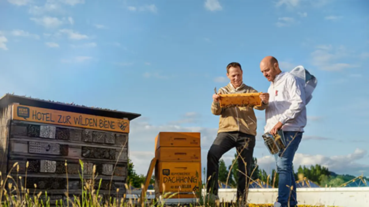 Stadt-Imker Martin Zahn trifft Kaufmann Daniel Ludorf auf dem begrünten Dach seines REWE Centers. Sie betrachten die Honigwaben aus Daniels Bienenstöcken. 