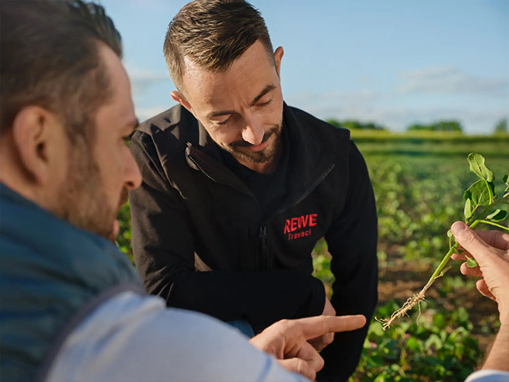 Johannes Grenzebach zeigt Tino Kley eine seiner ausgewählten Quinoa-Pflanzen. Scheinbar erklärt er, warum diese Pflanzen gut in Deutschland wachsen. 