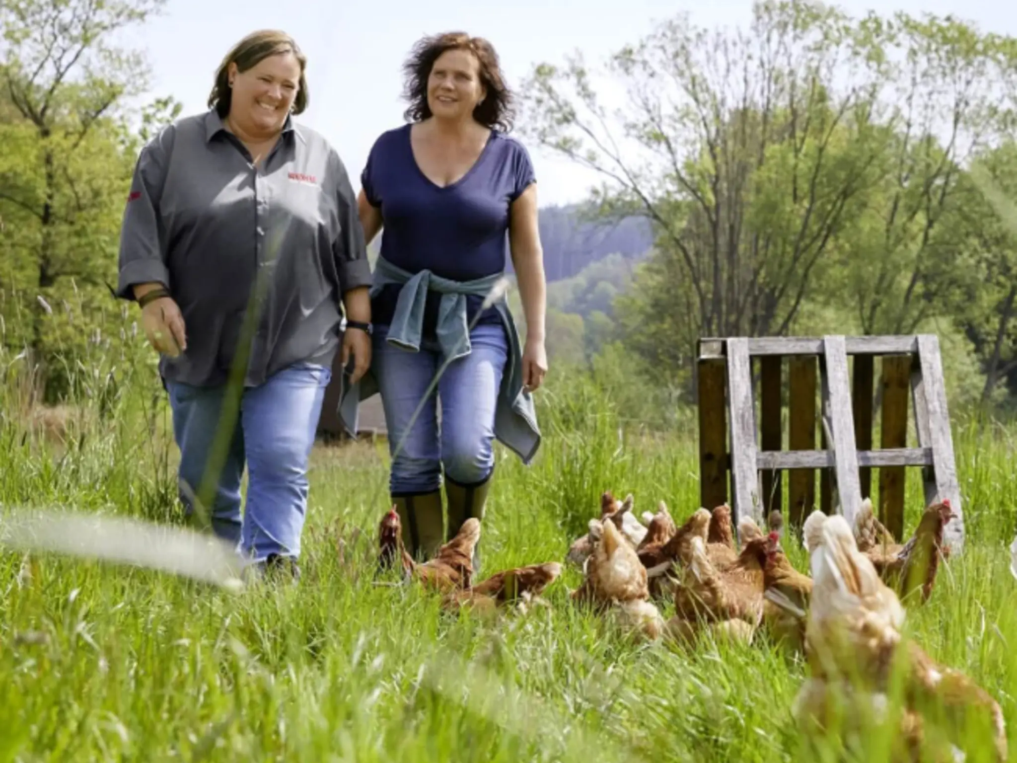 Ursula Wintgens und Mechthild Klose gehen über eine Wiese, auf der Hühner nach Futter suchen.
