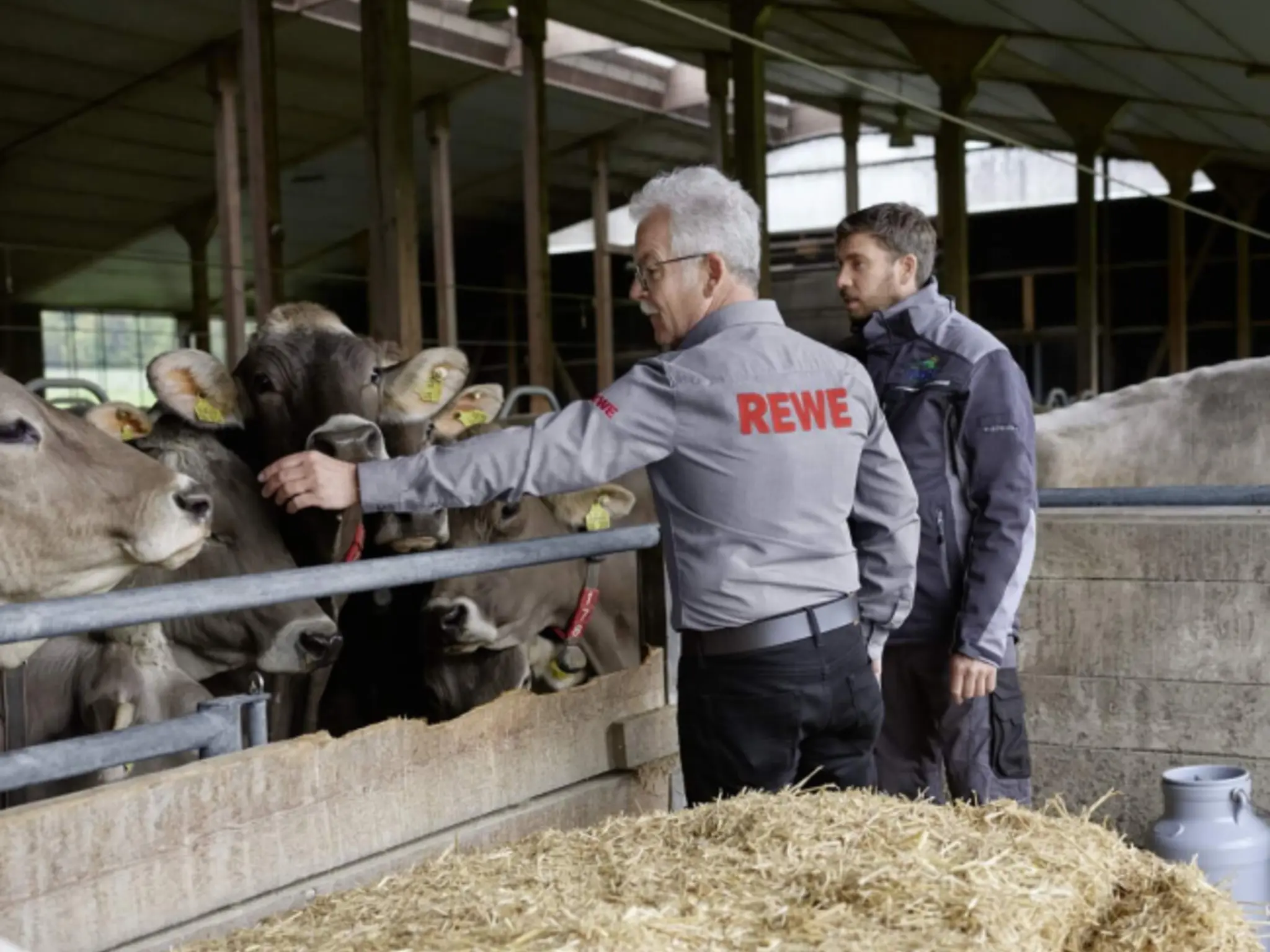 REWE Kaufmann Rainer Hahn streichelt eine von Michael Müllers Kühen.