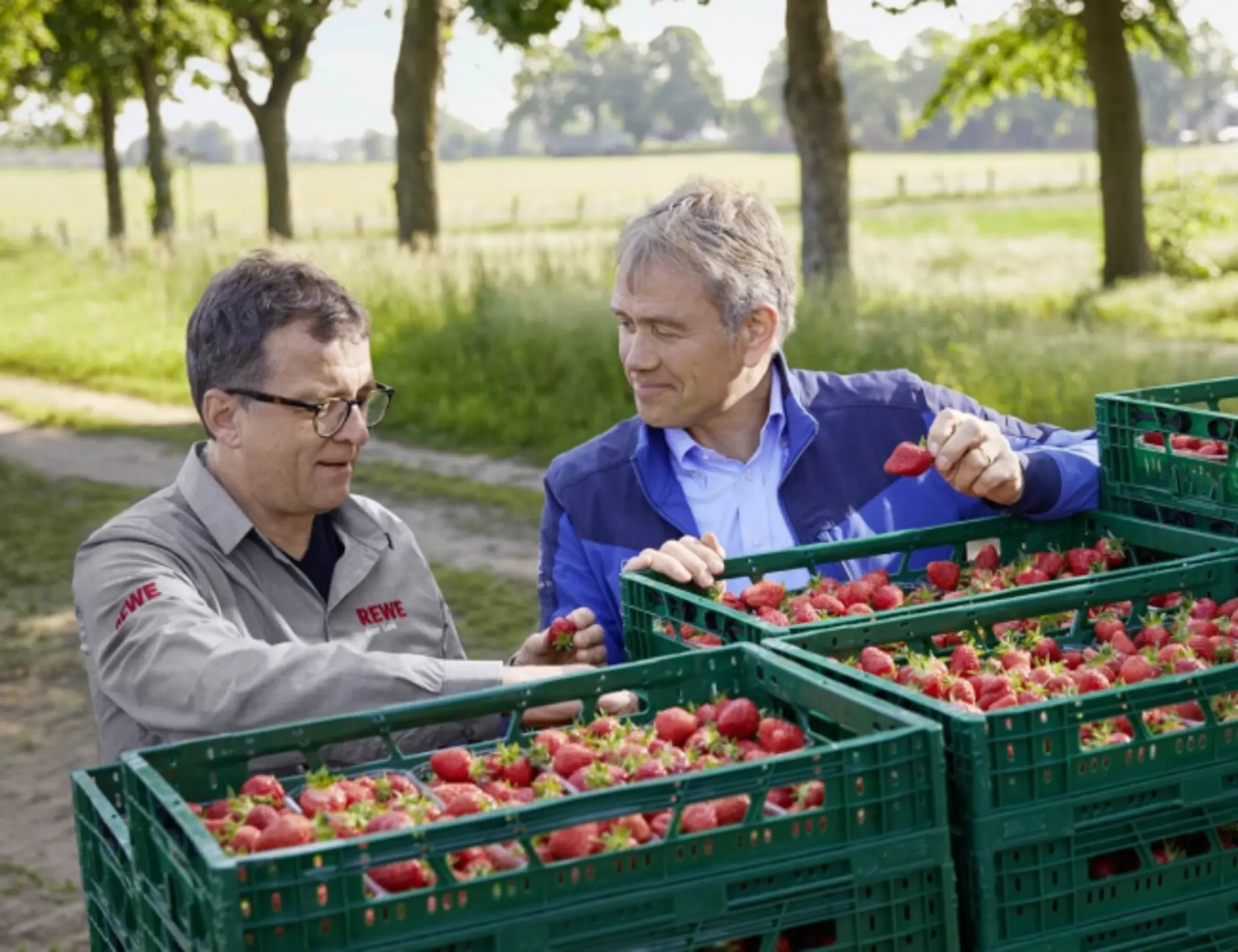 Stefan Lenk und Eberhard Schmücker betrachten die geernteten Erdbeeren.