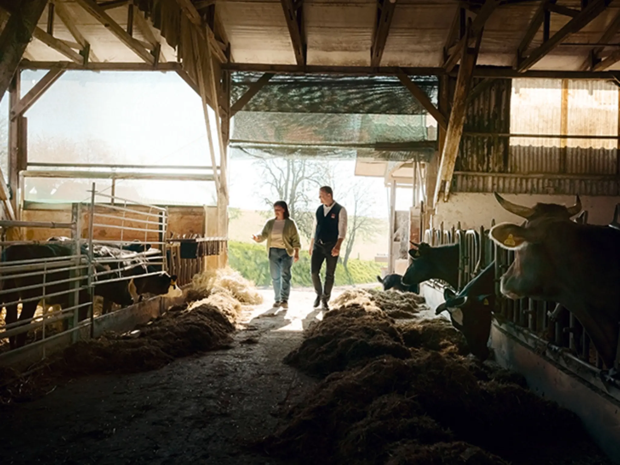 Björn Keyser und Sophia Sucholas im Kuhstall des Pfarrguts Taubenheim.