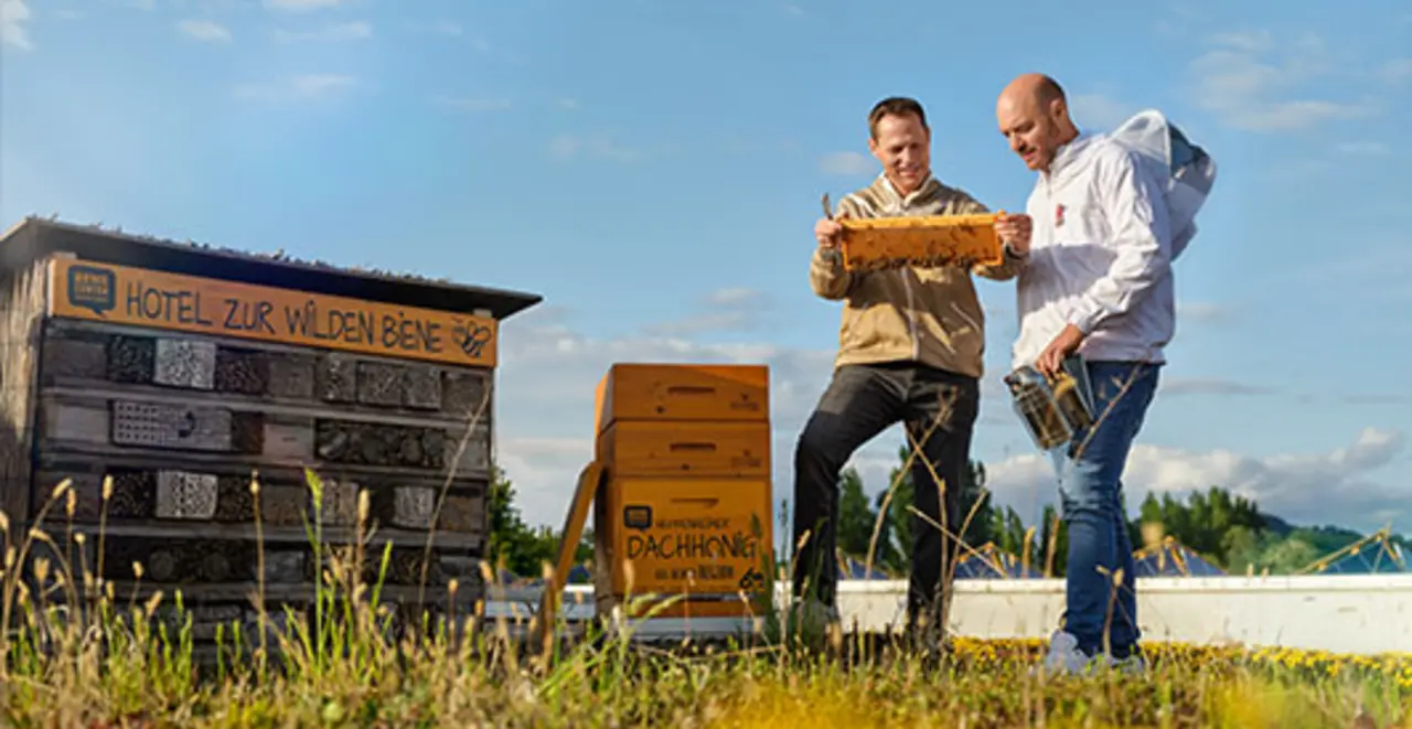 Imker Martin Zahn und REWE Kaufmann Daniel Ludorf stehen auf dem begrünten Dach von Daniels REWE Center vor zwei Bienenstöcken. Gemeinsam betrachten sie eine Honigwabe.