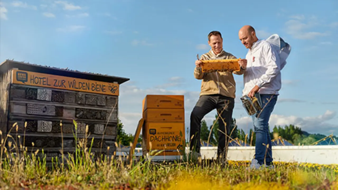 Imker Martin Zahn und REWE Kaufmann Daniel Ludorf stehen auf dem begrünten Dach von Daniels REWE Center vor zwei Bienenstöcken. Gemeinsam betrachten sie eine Honigwabe.