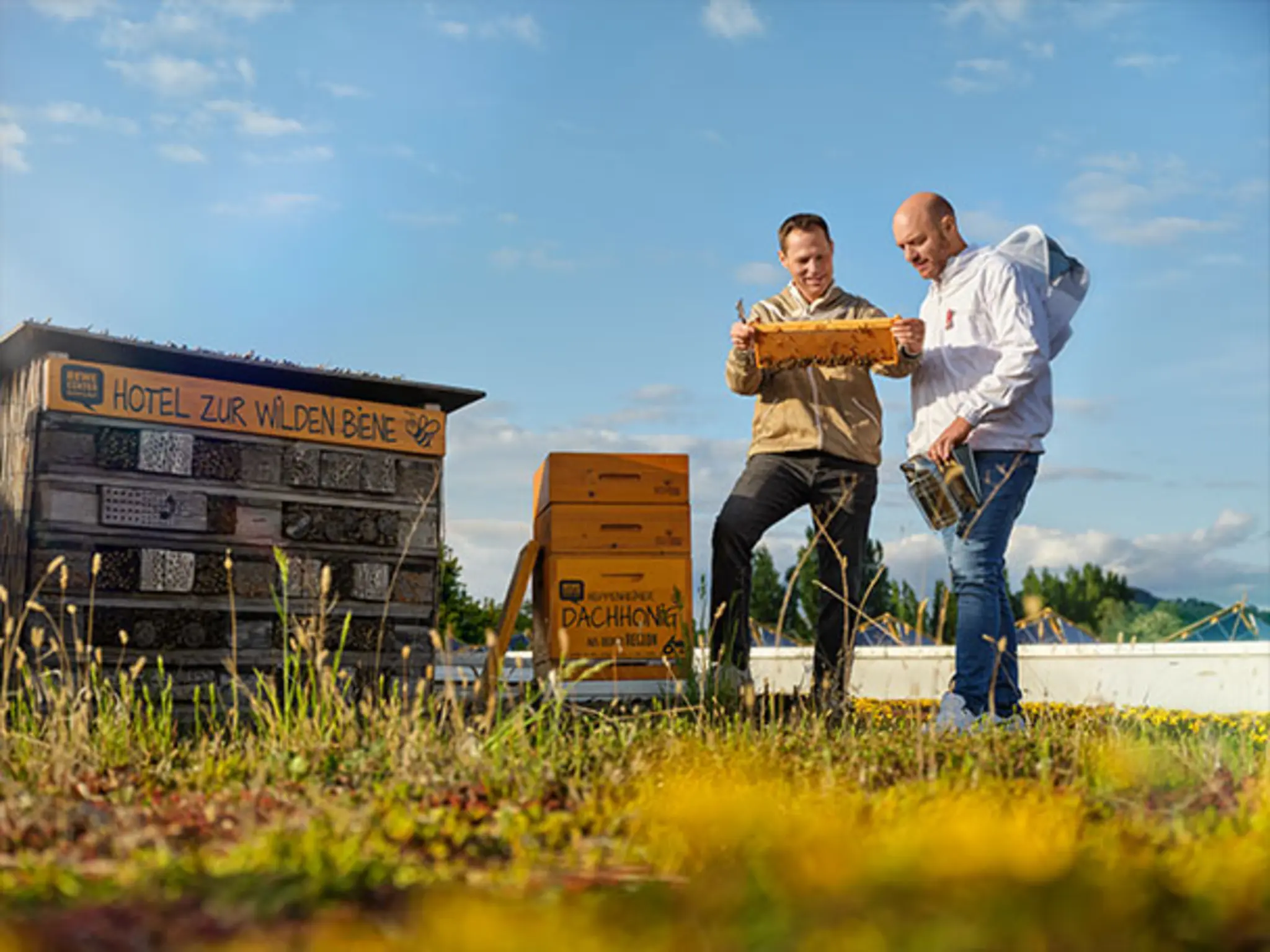 Stadt-Imker Martin Zahn trifft Kaufmann Daniel Ludorf auf dem begrünten Dach seines REWE Centers. Sie betrachten die Honigwaben aus Daniels Bienenstöcken. 