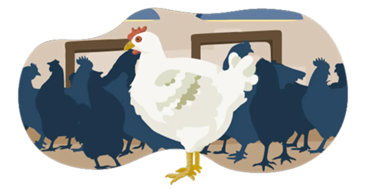 Ein Hähnchen steht mit vielen anderen auf engem Raum im Stall. Die Bedingungen entsprechen Haltungsstufe 1.