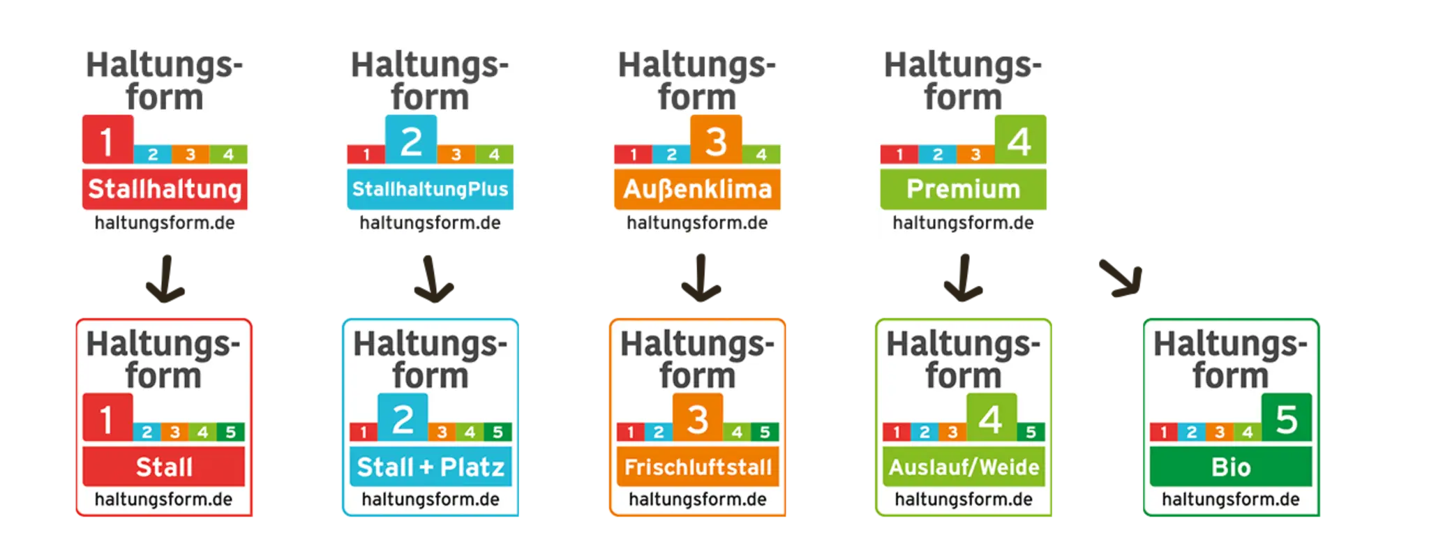 Im oberen Teil des Bildes stehen die 4 alten Haltungsform Labels in einer Reihe. Stufe 1 trägt die Bezeichnung „Stallhaltung“, Stufe 2 „Stallhaltung Plus“, Stufe 3 „Außenklima“ und Stufe 4 „Premium“. Darunter sind die 5 neuen Haltungsform Labels zu sehen. Stufe 1 trägt die Bezeichnung „Stall“, Stufe 2 „Stall + Platz“, Stufe 3 „Frischluftstall“, Stufe 4 „Auslauf/Weide“ und Stufe 5 „Bio“. Pfeile verdeutlichen, dass die neuen Label die alten ersetzen.