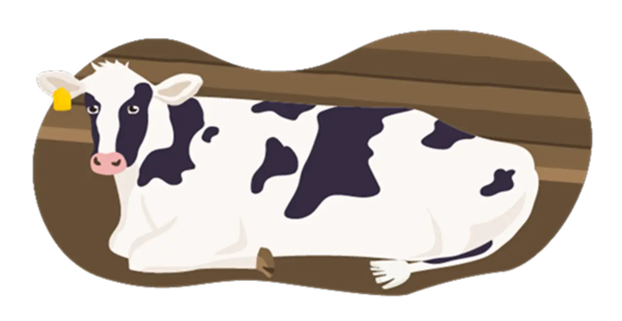 Die Illustration zeigt ein Rind, das nach den Richtlinien der Haltungsstufe 2 gehalten wird: Es hat mehr Platz im Stall als bei Haltungsstufe 1. Außerdem kann es sich an großen Bürsten scheuern.